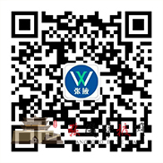 网信<a name=