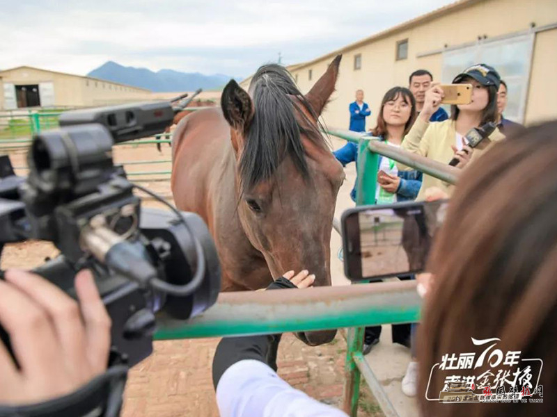 微信图片_20190719145040.jpg