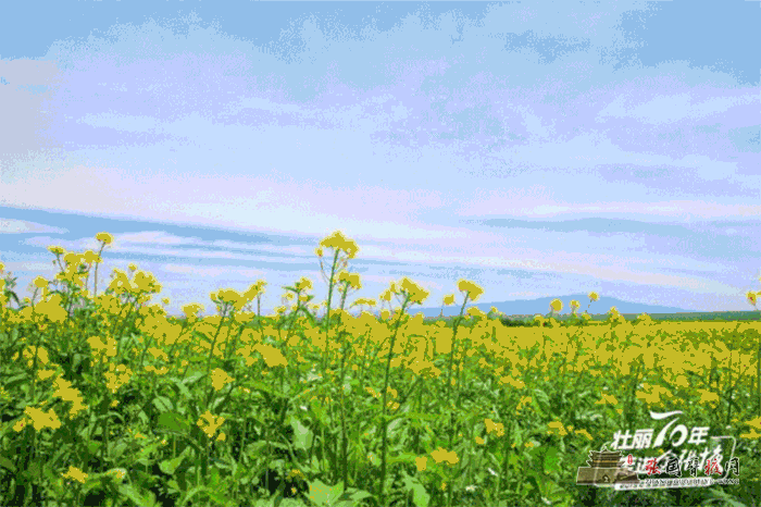 微信图片_20190725155333.gif