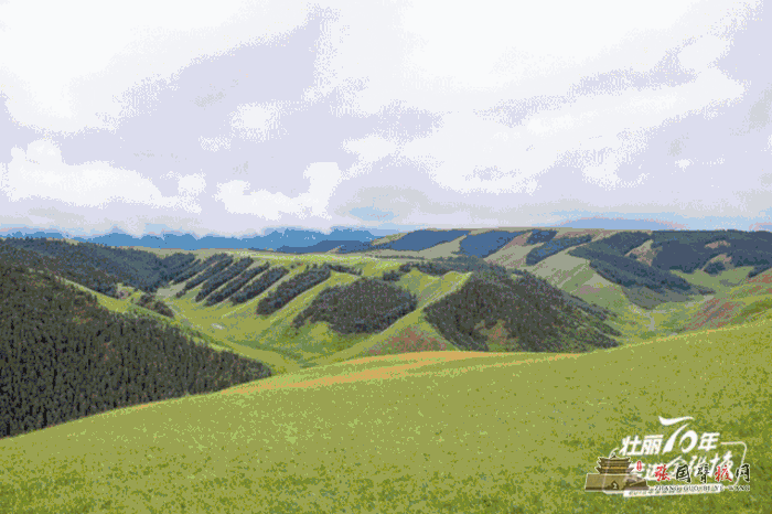 微信图片_20190725145819.gif