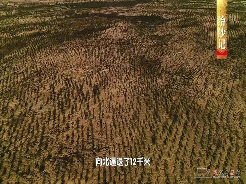 微信图片_20190817174950.jpg