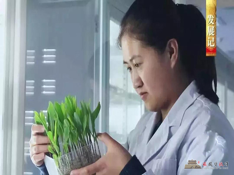 微信图片_20190817175005.jpg