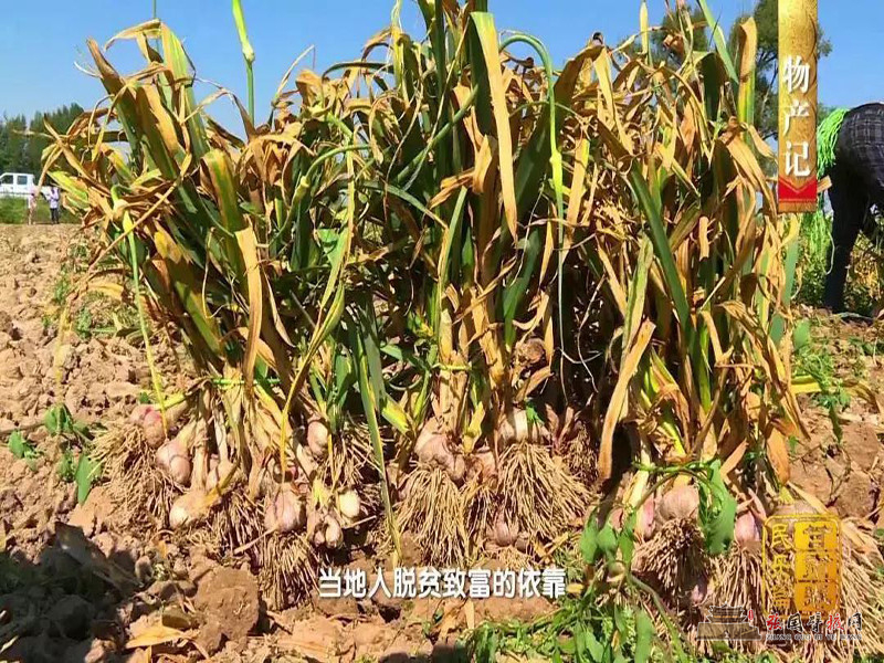 微信图片_20190818162328.jpg