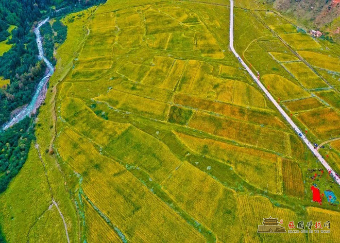 640 (1) [原始大小].jpg