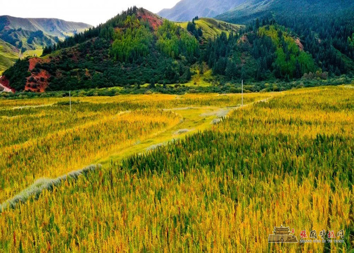 640 (2) [原始大小].jpg