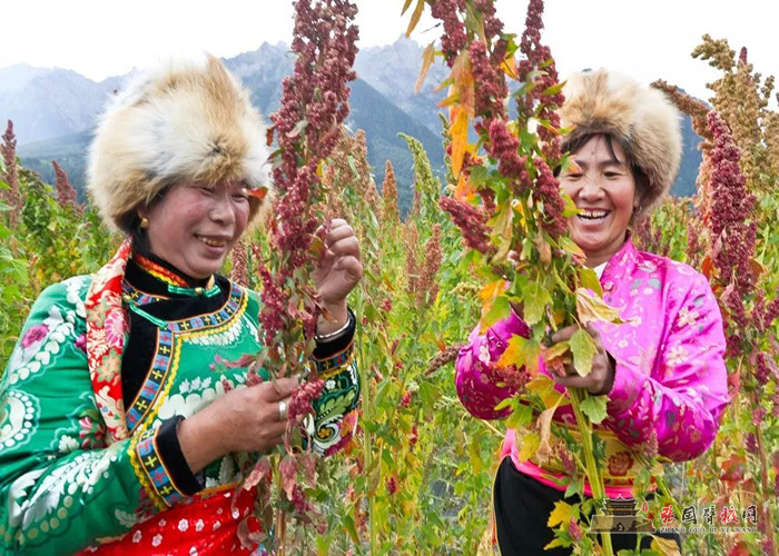 640 (3) [原始大小].jpg