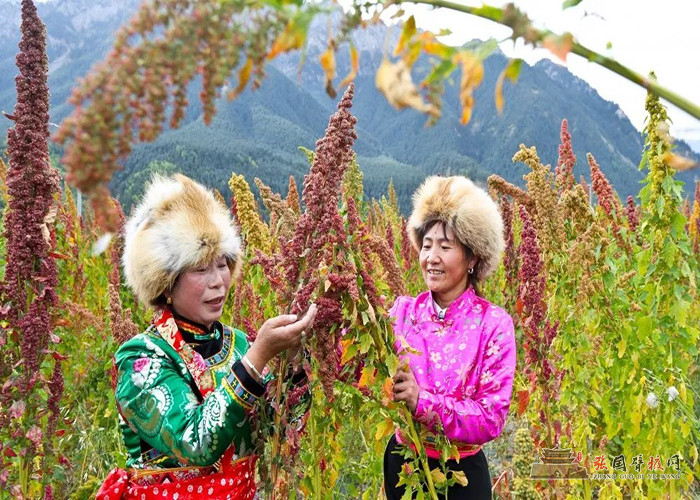 640 (4) [原始大小].jpg