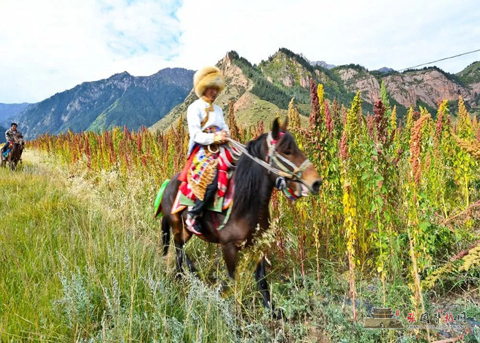 640 (6) [原始大小].jpg