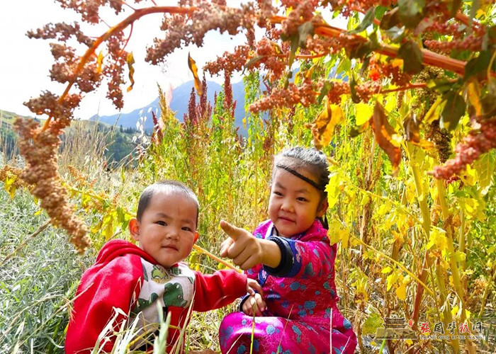 640 (7) [原始大小].jpg