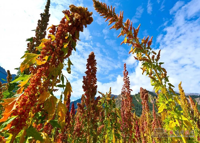 640 (8) [原始大小].jpg