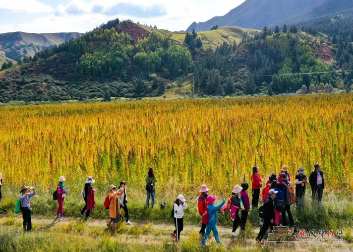 640 (9) [原始大小].jpg