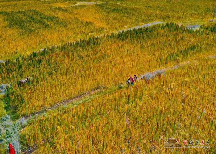 640 (10) [原始大小].jpg