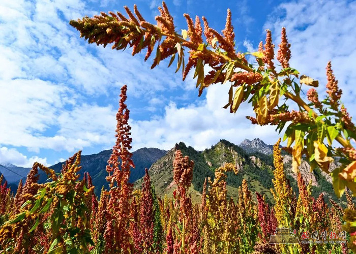 640 (14) [原始大小].jpg