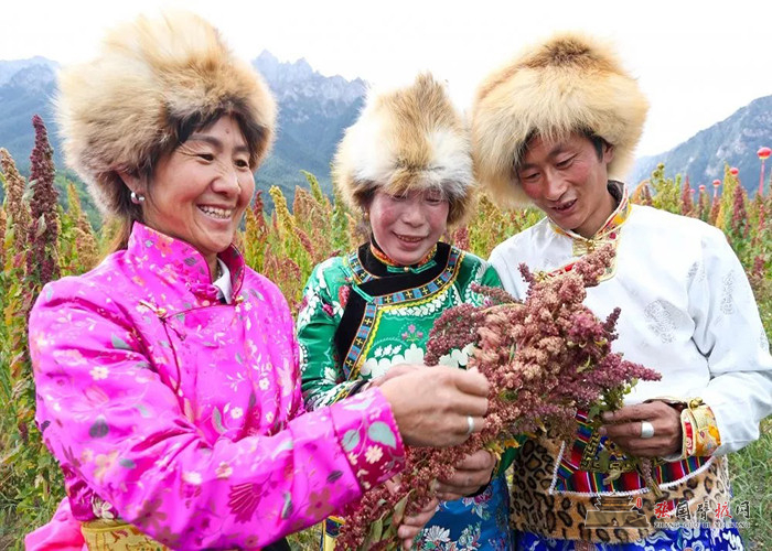 640 [原始大小].jpg