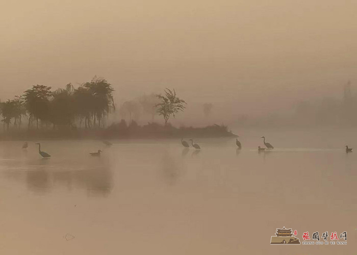 微信图片_20191008174515 - 副本 - 副本.jpg