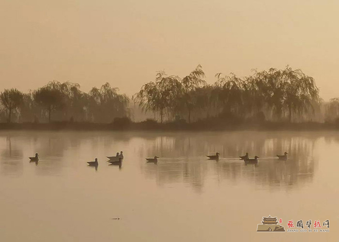 微信图片_20191008174532 - 副本.jpg