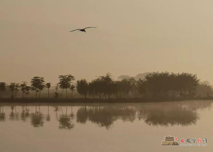 微信图片_20191008174537 - 副本.jpg