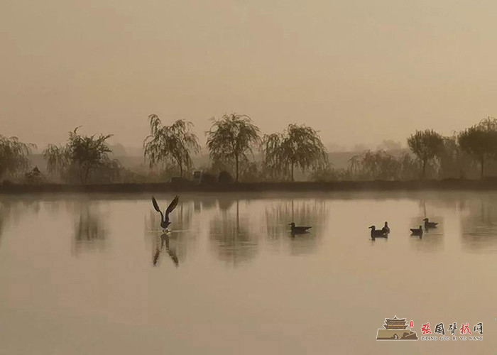 微信图片_20191008174539 - 副本.jpg