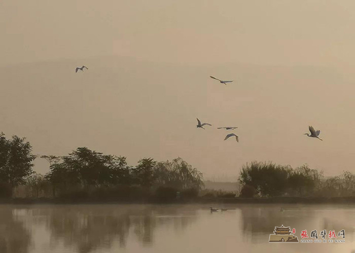 微信图片_20191008174544 - 副本.jpg