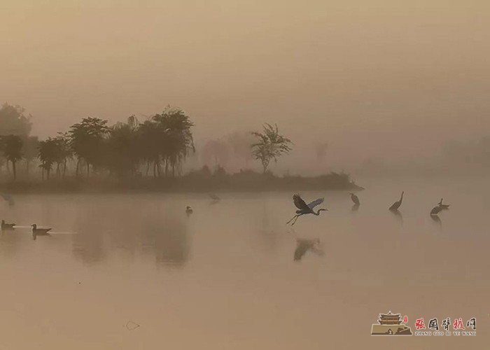 微信图片_20191008174547 - 副本.jpg