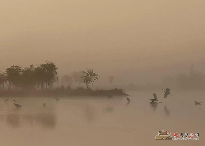 微信图片_20191008174549 - 副本.jpg