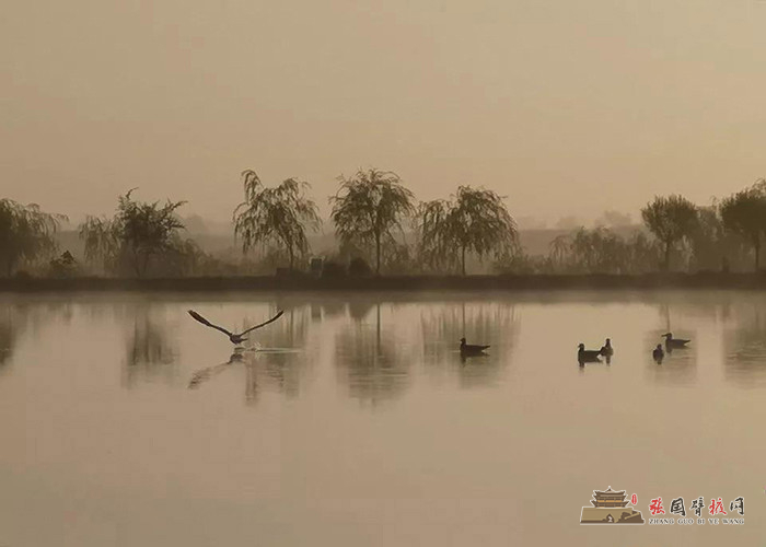 微信图片_20191008174551 - 副本.jpg