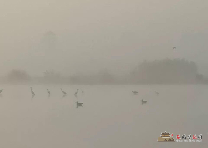 微信图片_20191008174554 - 副本.jpg