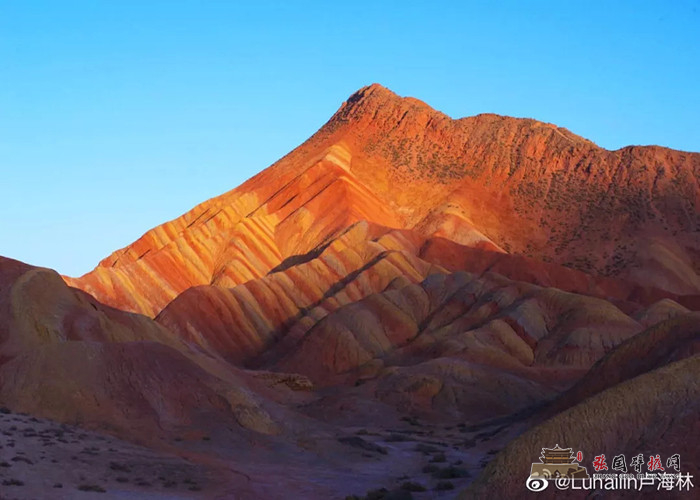 640 (1).webp (2).jpg