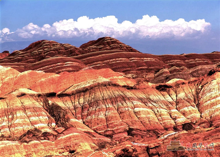 640 (1).webp (21).jpg