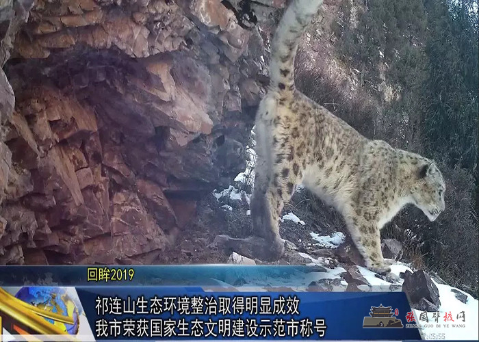 640.webp (5) - 副本.jpg