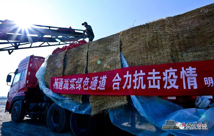 微信图片_20200202093255.jpg