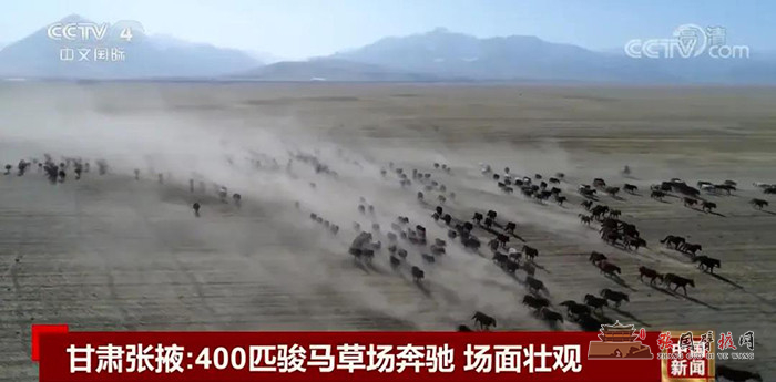 微信图片_20200312171121.jpg