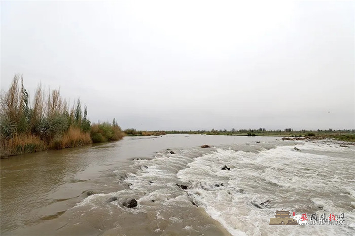 640.webp (14)_副本.jpg