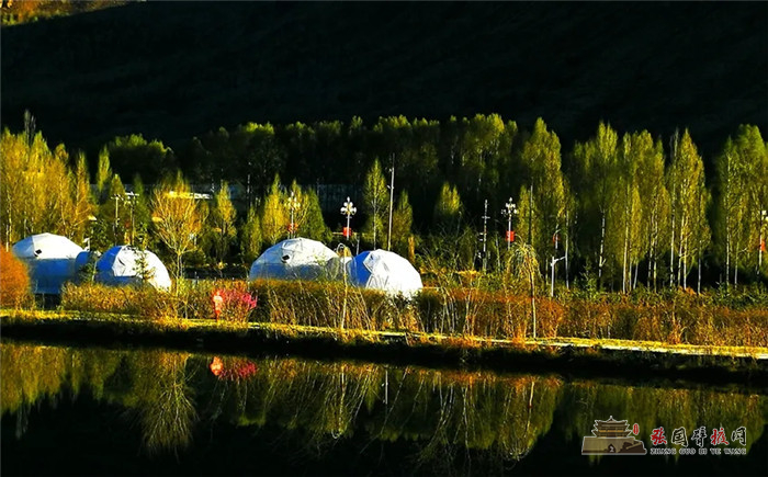 640.webp (5)_副本.jpg