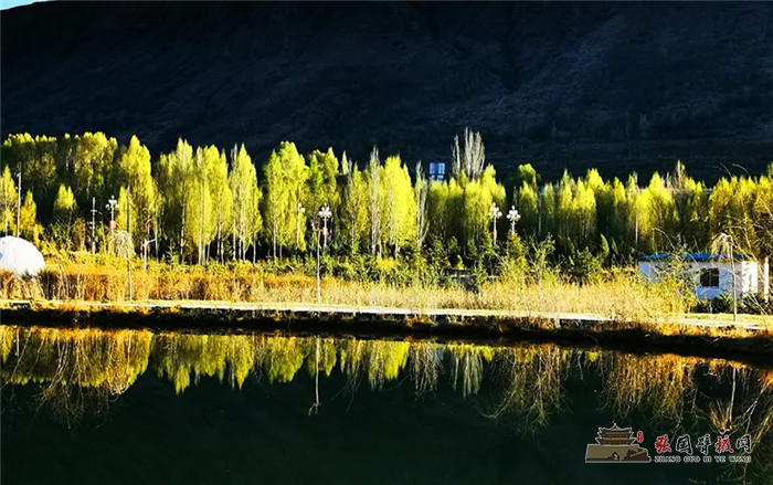 640.webp (6)_副本.jpg