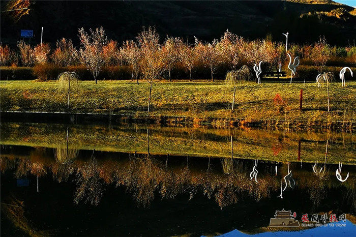 640.webp (7)_副本.jpg