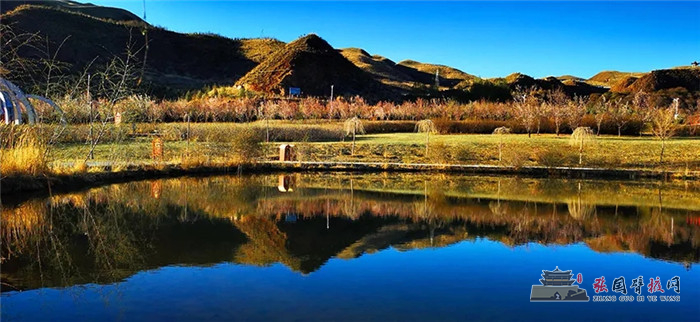 640.webp (9)_副本.jpg