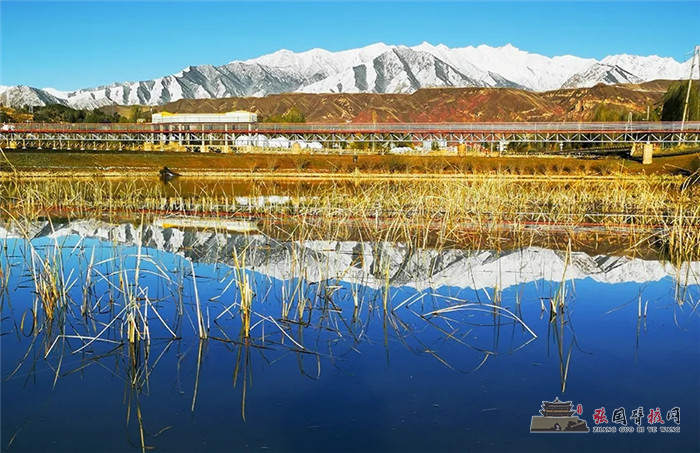 640.webp (11)_副本.jpg