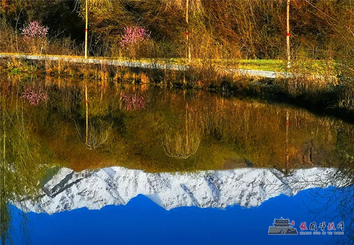 640.webp (12)_副本.jpg