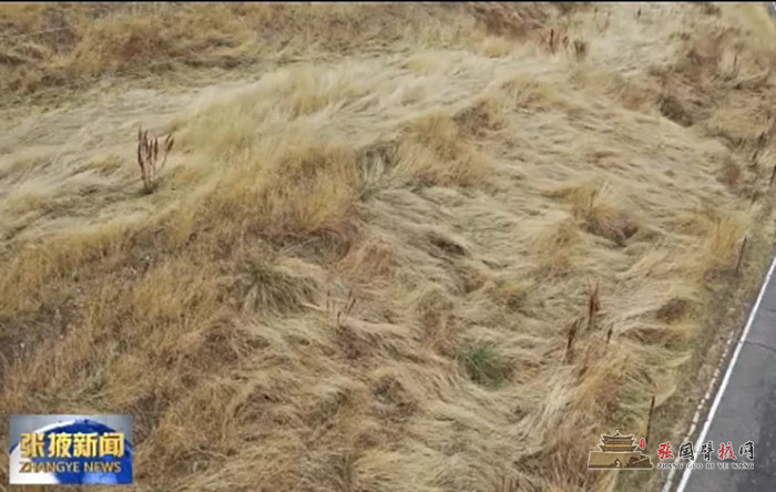 640 (1).webp (4).jpg