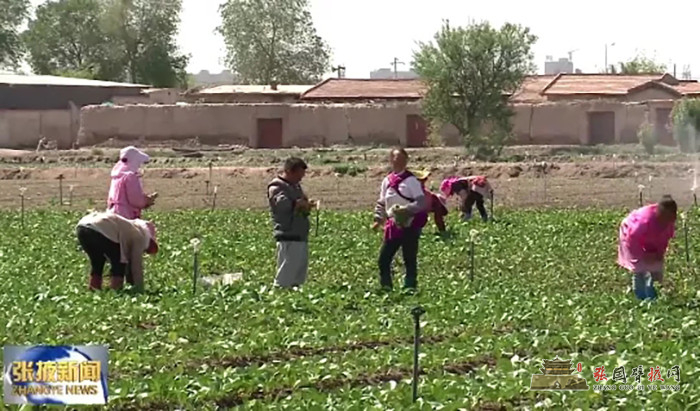 640 (1).webp (1).jpg