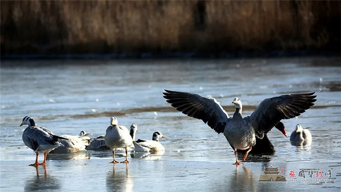 31.webp - 副本.jpg