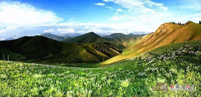 640 (1).webp (1).jpg