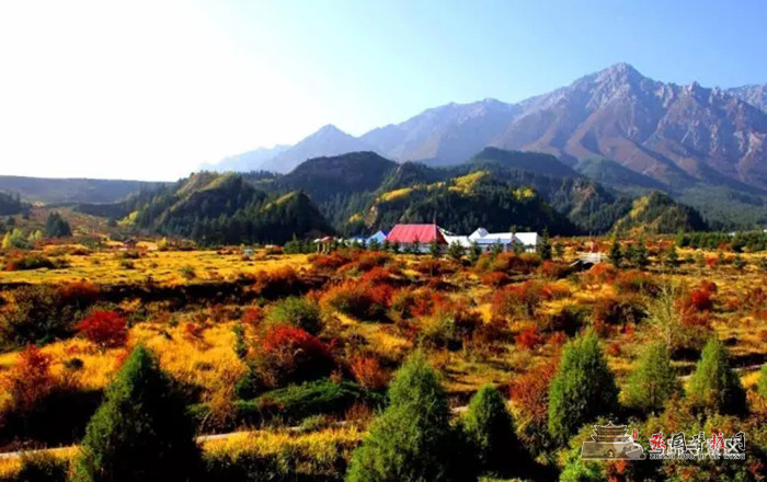 640 (1).webp (2).jpg