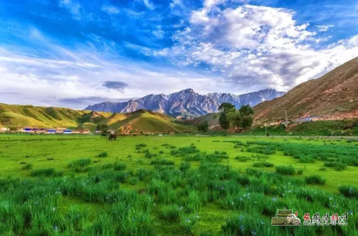 640 (1).webp (3).jpg