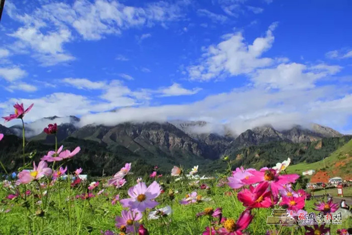 640 (1).webp (4).jpg