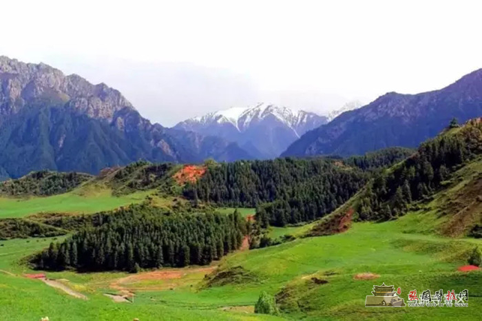 640 (1).webp (5).jpg