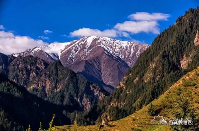 640 (1).webp (6).jpg