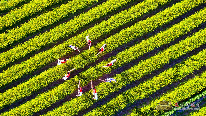 640 (1).webp (7).jpg