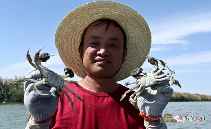 640 (1).webp (1).jpg